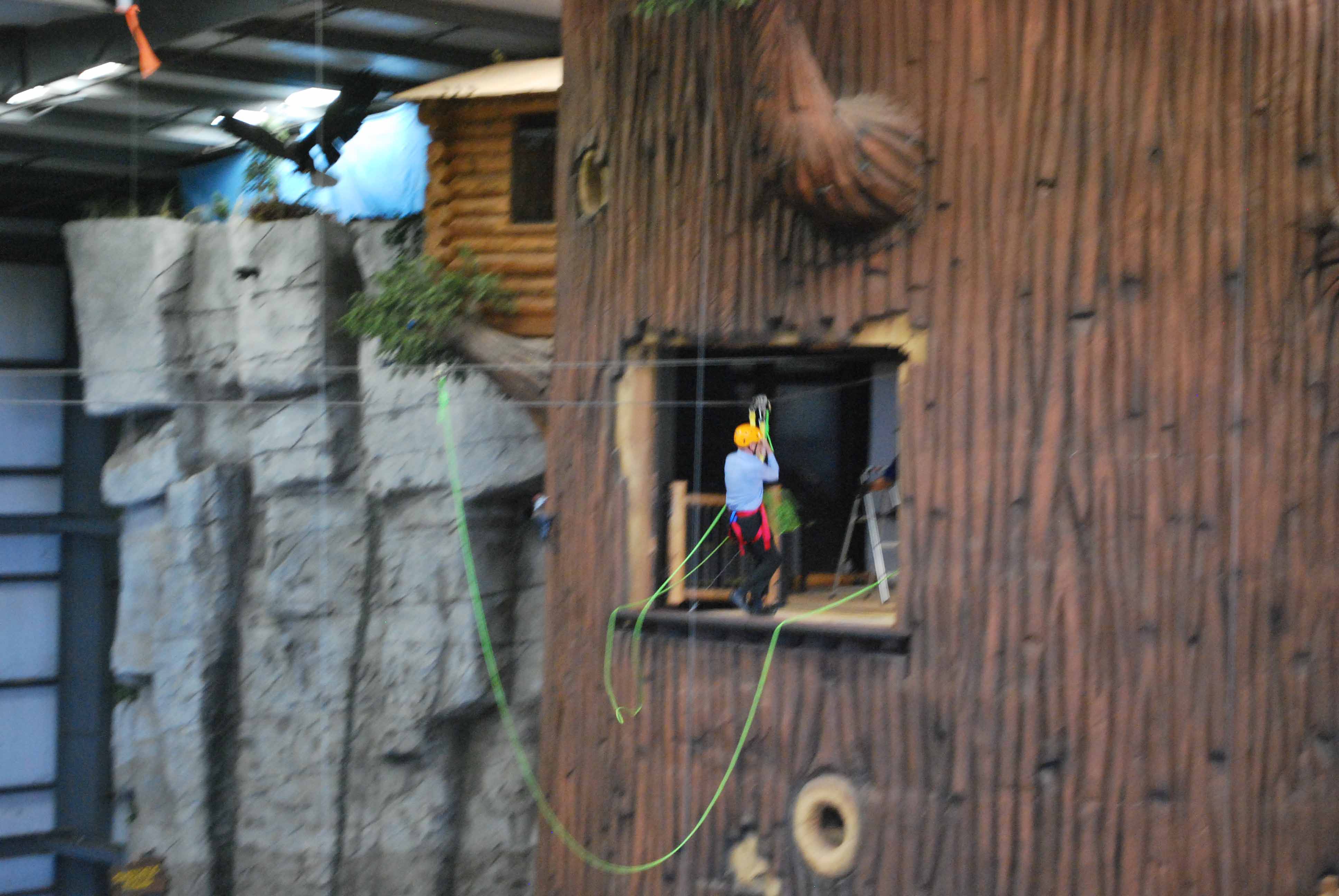 0050zipline