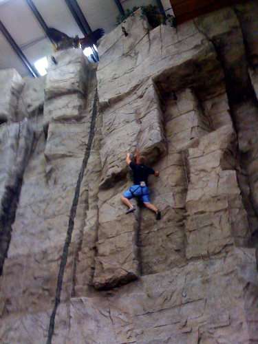 rock wall-oak.jpg