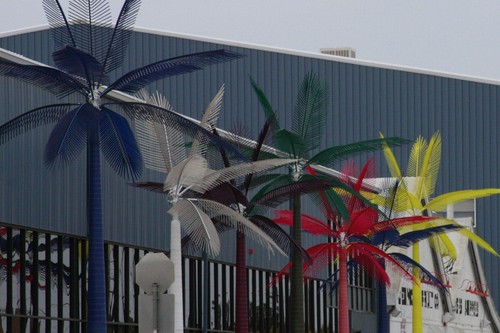 Palm trees031.JPG