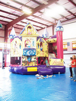 BounceHouse-Princess.jpg