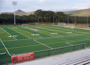 lhsfield.jpg